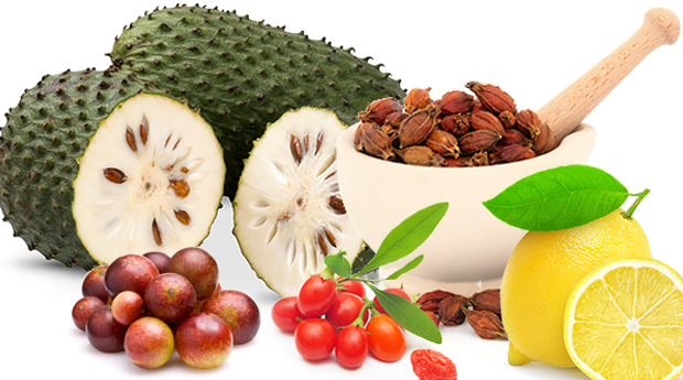 cancer fighting diet plan