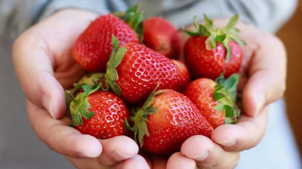 5 Super Cool Reasons to Eat Strawberries
